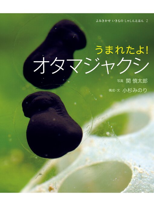 Cover image for うまれたよ! オタマジャクシ